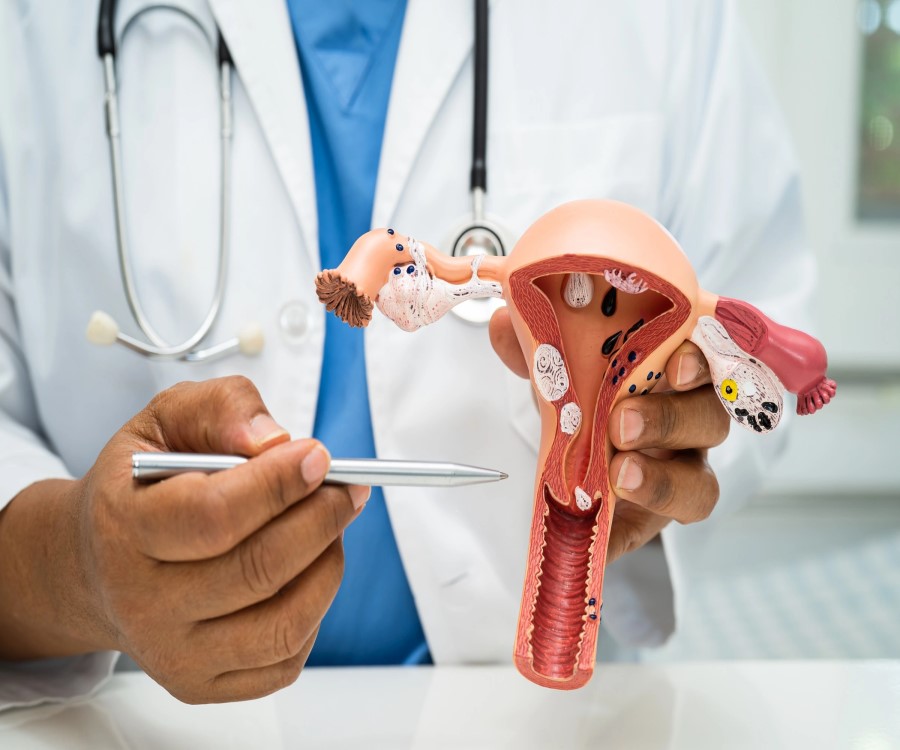 Gynecological oncologist